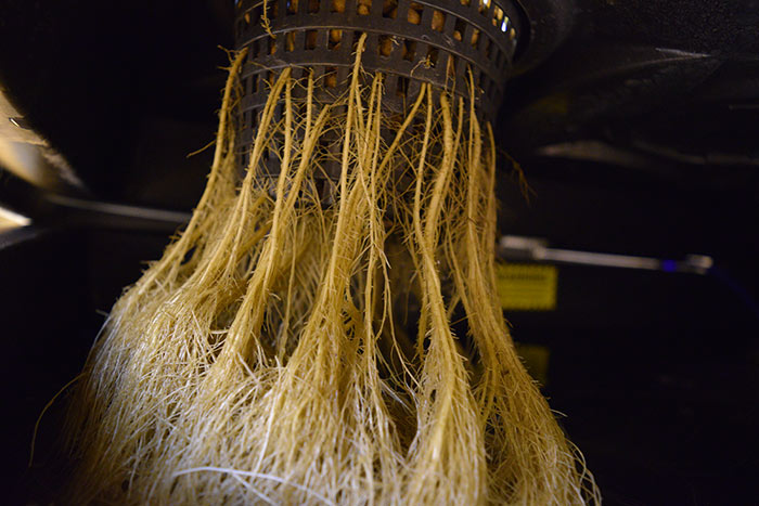 Oxypot V6, pro 6 rostlin, bez vzduchovací sady, bubbler