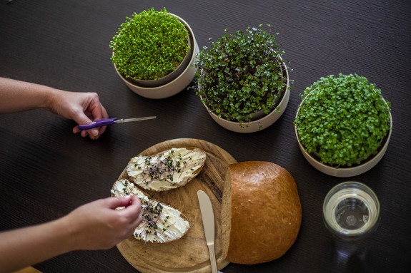 Malá farma Plastia Microgreens - béžová
