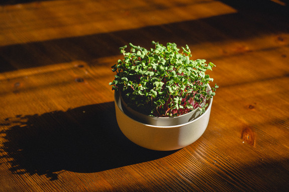 Malá farma Plastia Microgreens - béžová