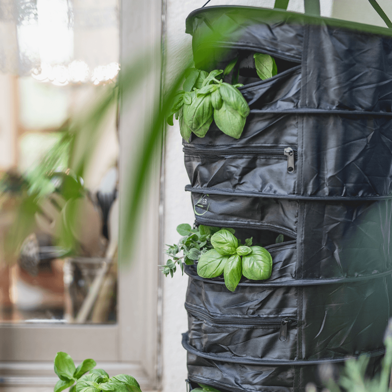 HERBDryer Regular sušící síť, 4 patra, filtr a ventilátor