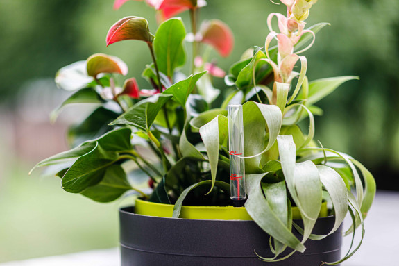 Samozavlažovací závěsný květináč BERBERIS 26 cm šedá zelená