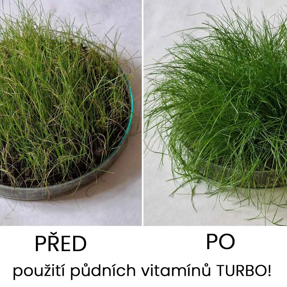 TURBO! Půdní vitamíny pro trávníky a rostliny 25 L
