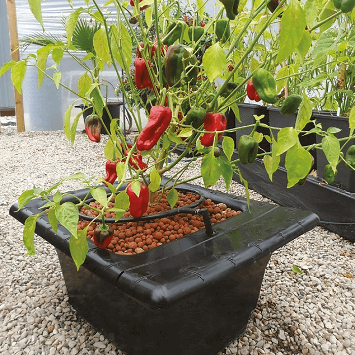 Nutriculture Flo-Gro 520 (75x75x30cm) 50L, hydroponický systém