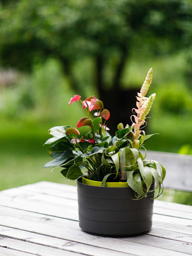 Samozavlažovací závěsný květináč BERBERIS 26 cm šedá zelená