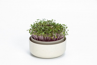 Malá farma Plastia Microgreens - béžová 