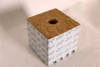 Begrow® pěstební kostka 150 x 150 x 142 mm, s velkou dírou, 1 ks